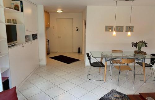 Flims Apartment | Apartment Flims Waldhaus - Surselvapark A4