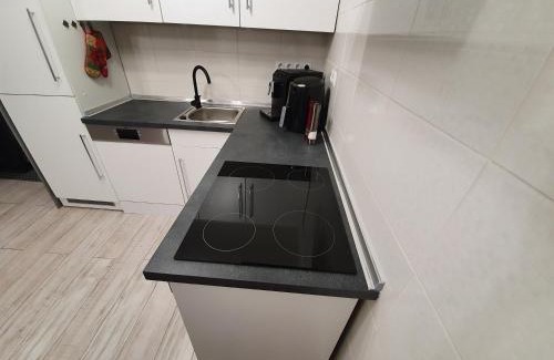 Ramingstein Apartment | Apartment for your Holiday