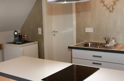 Bisingen Apartment | Apartment 'Frederick' with Wi-Fi