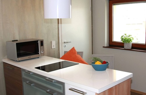 Bisingen Apartment | Apartment 'Frederick' with Wi-Fi