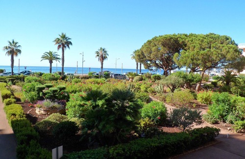 Frejus Plage Apartment | Apartment frejus plage front de mer