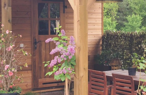Steige Apartment | Apartment 'Gite Béthanie - 4 Pers' with Private Wooden Terrace and Wi-Fi