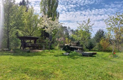 Weiwasser/O.L. Apartment | Apartment GNUBBEL am Wald
