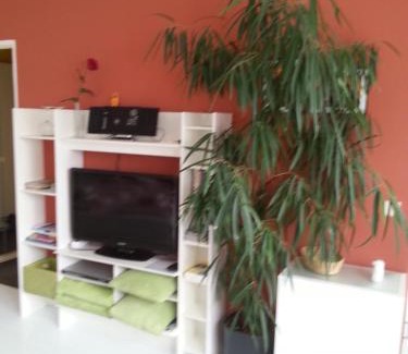 Kleinpestitz Apartment | Apartment Hagen Nähe TU Altstadt