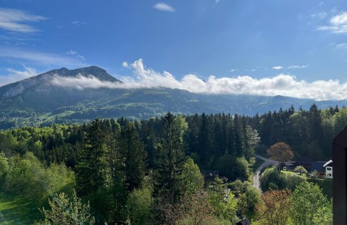 Bad Goisern Apartment | Apartment Heidi