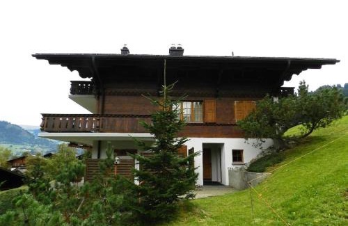Saanen Apartment | Apartment Hornflue - Baumann by Interhome