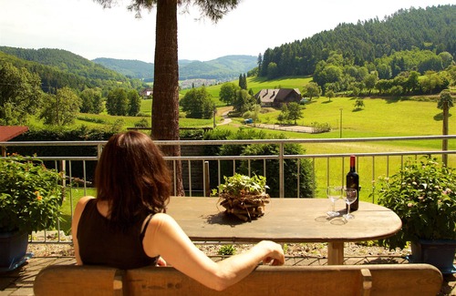 Seelbach Apartment | Apartment 'Im Häusle, 80qm' with Mountain View, Shared Garden and Wi-Fi