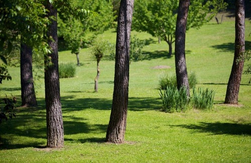 Siena Apartment | Apartment in a historic Villa "Il Campo" view & authentic hospitality in Siena