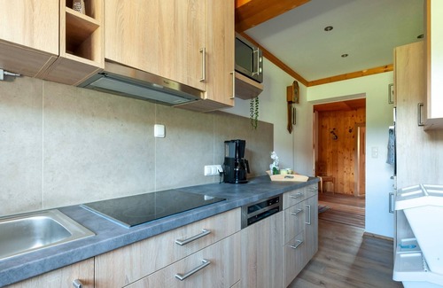 Kitzbuehel Apartment | Apartment in Kirchberg near Ski Bus