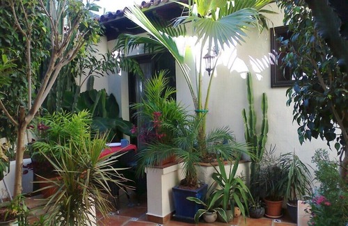 El Guincho Apartment | Apartment in rustic style with small terrace in the patio