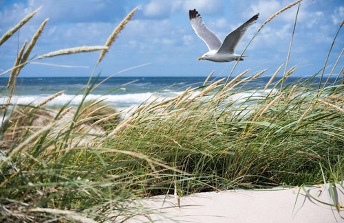 Albertstrand Apartment | Apartment in Knokke-Heist near Beach