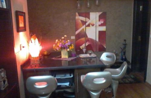 Al-Basatin Apartment | Apartment in Maadi For Families Only