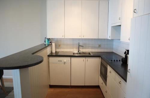 Nieuwpoort-Bad Apartment | Apartment in Nieuwpoort by the Sea Wall