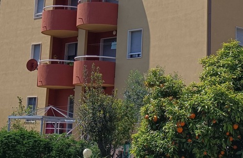 San Terenzo Apartment | Apartment