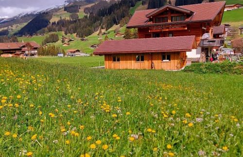 Adelboden Apartment | Apartment Lärchehuus by Interhome