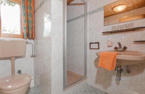 Hollersbach im Pinzgau Apartment | Apartment Mitteregg by Interhome
