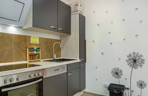 Neuburg Apartment | Apartment 'Modern Apartments Neuburg 5 - New' with Wi-Fi