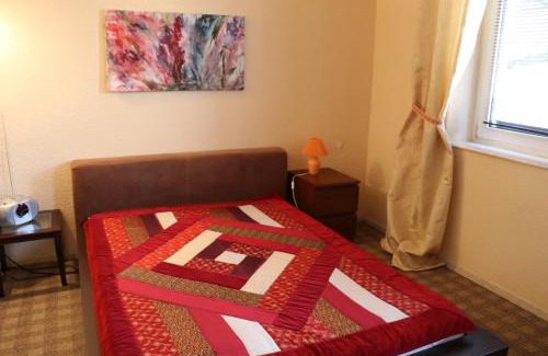 Altstadt I Apartment | Apartment mit Gartenblick und kleines Apartment im 3 Familienhaus