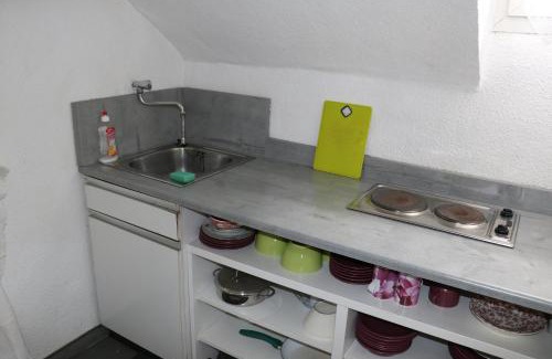 Altstadt I Apartment | Apartment mit Gartenblick und kleines Apartment im 3 Familienhaus