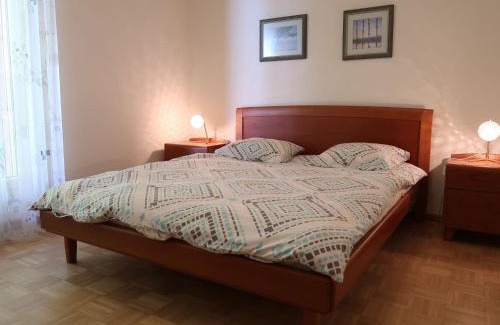 Montreux Apartment | Apartment Montreux - Panorama by Interhome