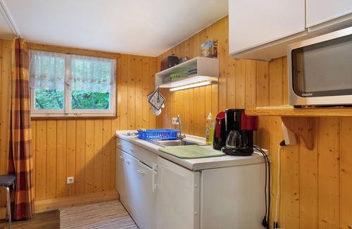 Feldberg Apartment | Apartment 'Mühle' with Mountain View and Wi-Fi