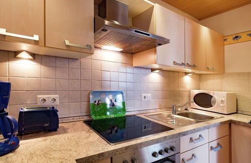 Dreislar Apartment | Apartment near the ski area