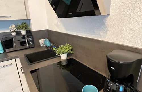 Bad Bergzabern Apartment | Apartment 'Neue Orchideen-apartments Im Haus' with Shared Garden, Balcony and Wi-Fi