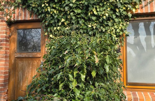 Hirschburg Apartment | Apartment NH5 - Apartment with 2 sep. Bedrooms for 6 people opposite the