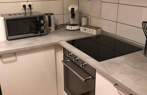 Freiburg im Breisgau Apartment | Apartment no. 3, 53 sqm, two bedrooms, shared kitchen, max. 4 persons