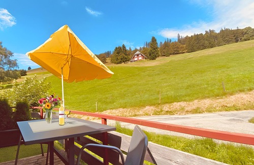 Todtnauberg Apartment | Apartment Nr. 14