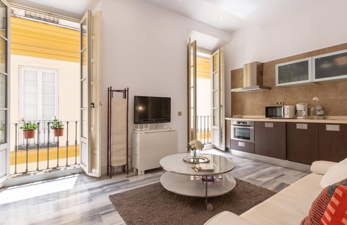 La Victoria Apartment | Apartment overlooking Plaza de la Merced in the building where Picasso was born