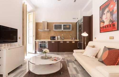 La Victoria Apartment | Apartment overlooking Plaza de la Merced in the building where Picasso was born