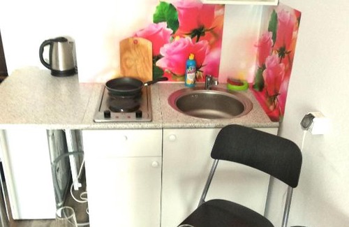 Murinskoe Apartment | apartment PETROV