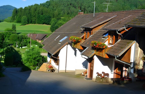 Seelbach Apartment | Apartment 'Pfauensitz' with Mountain View, Shared Garden and Wi-Fi