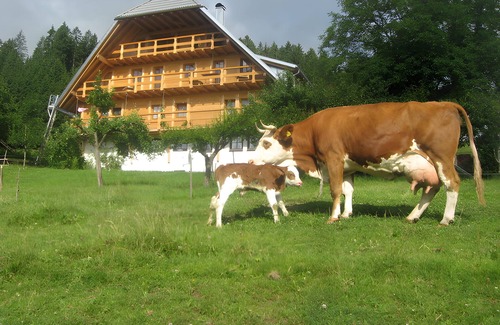 Schonach im Schwarzwald Apartment | Apartment 'Pfiffikus' with Mountain View, Shared Terrace and Wi-Fi