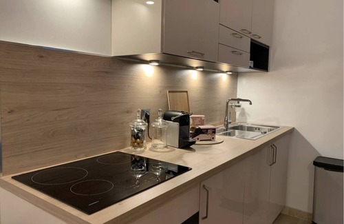 Centre Erlon Apartment | Apartment-Private Bathroom