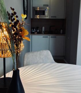 Offenbach am Main Apartment | Apartment Sana Klinik No 30