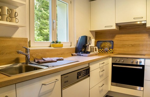 Faulenfurst-Seebrugg Apartment | Apartment 'Schluchseeoase' with Mountain View, Private Terrace and Wi-Fi