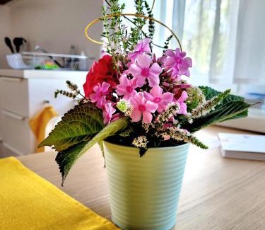 Dornbirn Apartment | Apartment Sonnenschein