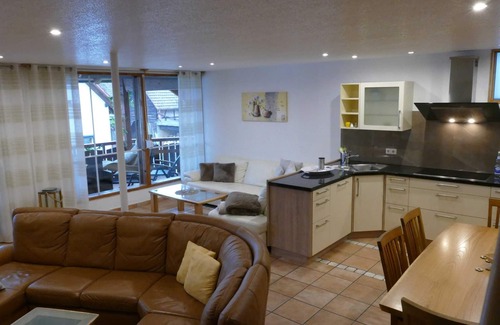 Friesenheim Apartment | Apartment source - source