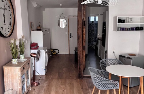 Historic Center Apartment | Apartment Strasbourg Cathedrale