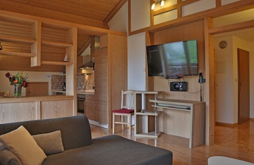 Mittelberg Apartment | Apartment summit view (XL) 75 sqm - Alpenstern Finy, organic guest house