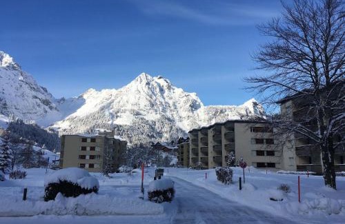 Engelberg Apartment | Apartment Sunnmatt Süd Wohnung 246 by Interhome