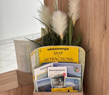 Bad Goisern Apartment | Apartment Theresa