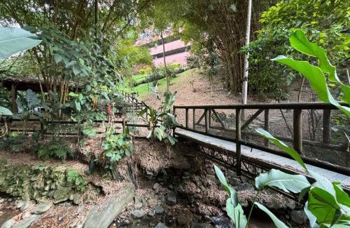 Envigado Apartment | Apartment tower in the middle of a forest, 2 bed