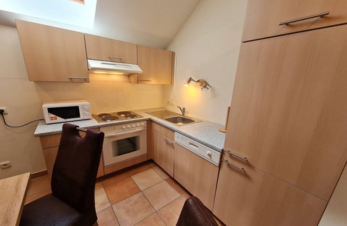 Bad Kleinkirchheim Apartment | Apartment with mountain & slope view