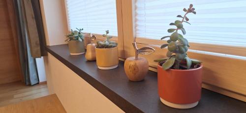 Hoarberg Apartment | Apartment Wechselberger Tobias & Jaqueline