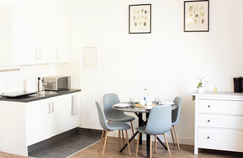 Wiesbaden Apartment | Apartment Wiesbaden Mitte - Zentral am Park. Congresscenter 5 Min, Bahnhof 10min