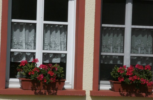 Morscheid-Riedenburg Apartment | Apartment With Animal zoo and sun Terrace
