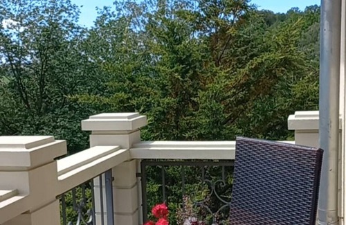 Wilkau-Haßlau Apartment | Apartment with balcony and parking space